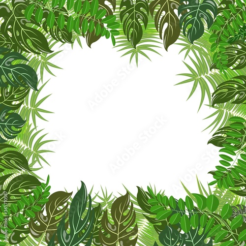 Trendy tropical leaves nature vector poster background