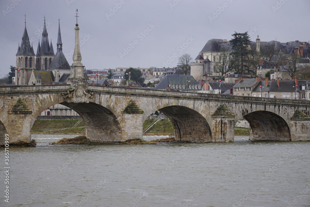 the old town of Blois, France by the Loire river
