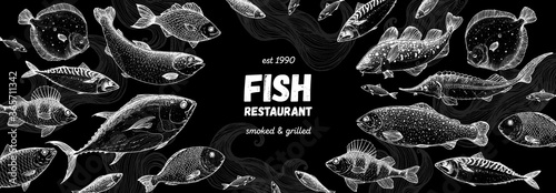 Fish sketch collection. Hand drawn vector illustration. Seafood frame. Food menu illustration. Hand drawn tuna, flounder, cod fish, herring, rainbow trout, mackerel, salmon, perch. Engraved style