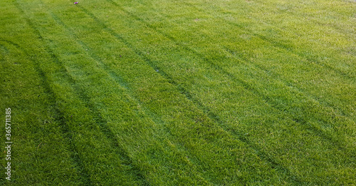 Peaceful Garden with a Freshly Mown Lawn.