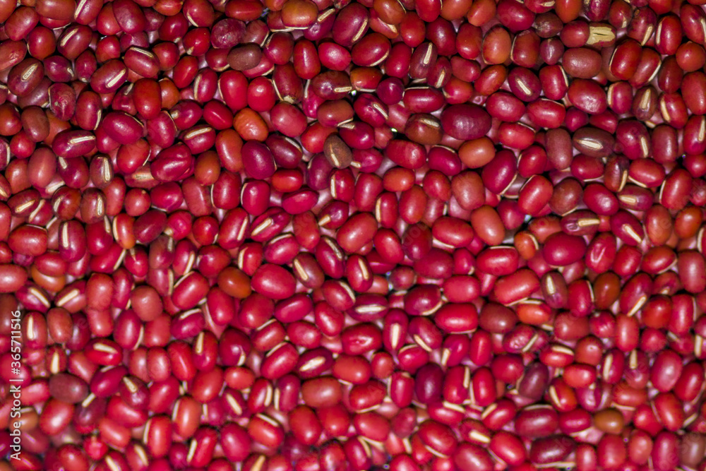 Azukibohnen - Vigna angularis Azukibohnen - Vigna angularis