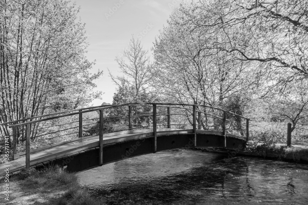 bridge over a tranquil river in black and white