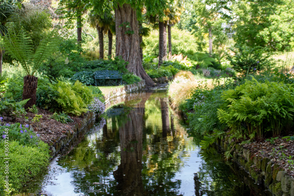 beautiful woodland scene reflecting in the water beautiful woodland scene reflecting in the water