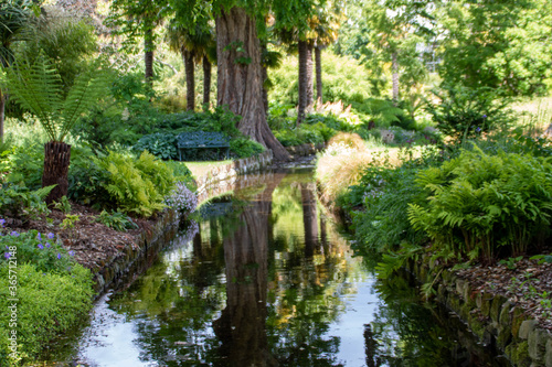 beautiful woodland scene reflecting in the water