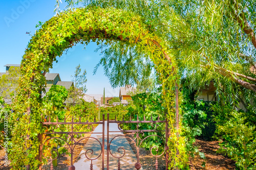 Wrought Iron Gate leads to a vineyard garden in Temecula Valley. photo