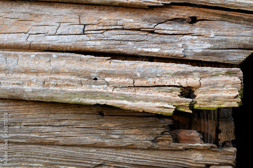 Rusty nail, weathered boards of an abandoned barn with cracked wooden planks close up ~WEATHERED~