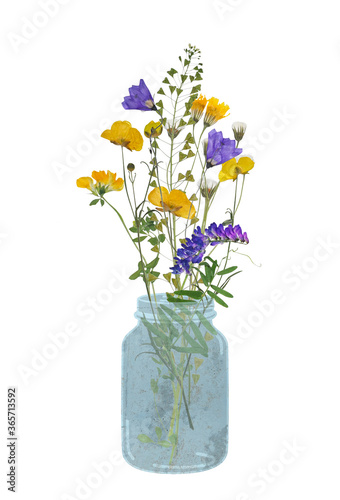 field yellow and purple flowers herbarium business card greeting card screensaver