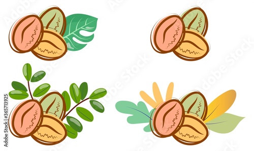 Fototapeta Naklejka Na Ścianę i Meble -  Set of coffee beans with different leaves.
Autumn coffee harvest.
Selected coffee beans.
Vector isolated.
Flat design.