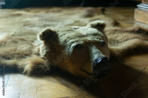Canvas Print photo of stuffed bear on the floor