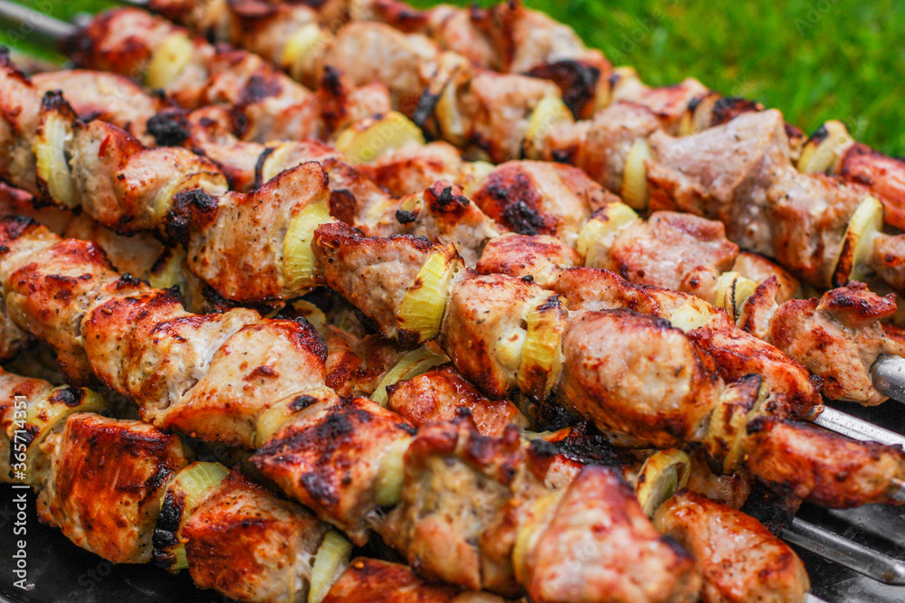 barbecue grilled shashlik kebab on skewer