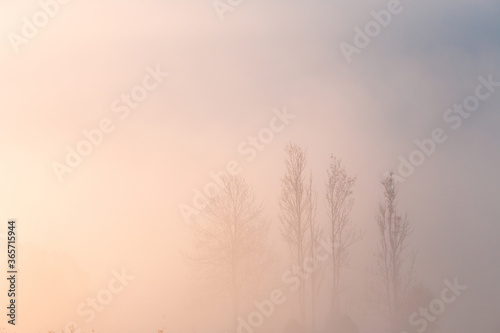 Beautiful dreamy autumn sunrise rural scenery background. Trees sticking out of the morning fog.