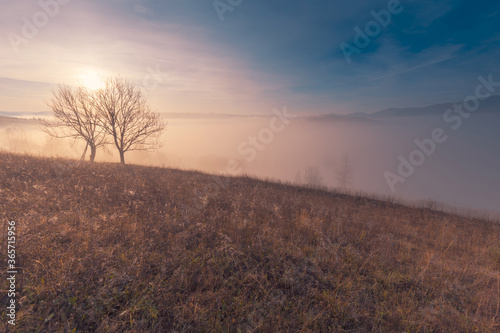 Beautiful sunrise over autumn mountain hills. Panoramic landscape with fog in the valley between mountain hills with couple of trees on the slope. © stone36