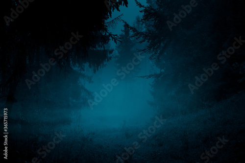 Mysterious pathway. Footpath in the dark, foggy, autumnal, mysterious spruce forest.