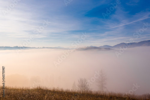 Beautiful sunrise over autumn mountain hills. Panoramic landscape with fog in the valley between mountain hills with trees on the slope.