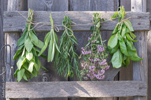 Herbs hang and dry on wooden background