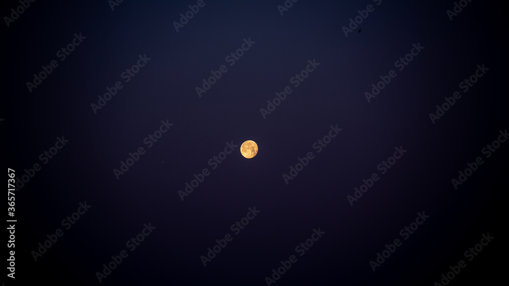 Full moon Full moon