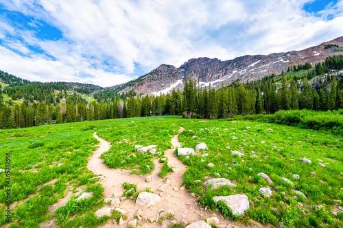 Albion Basin, Utah view of green pine trees forest on summer road trail in 2019 in Wasatch mountains with rocky snow Devil's Castle mountain photo