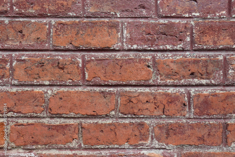 Mesmerized by a brick wall? Mesmerized by a brick wall?