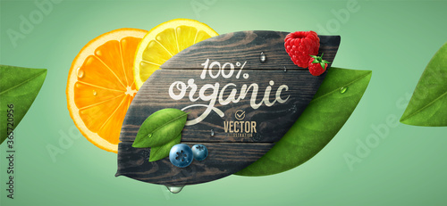 Vector realistic summer fruits template. Leaf shaped wood, leaves and fruits.