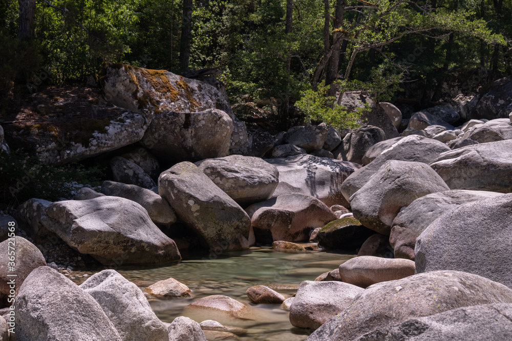 The Restonica Valley, popular tourist destination in the heart of Corsica, France
