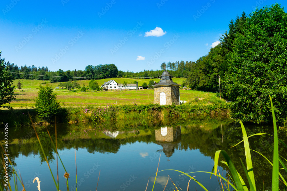 Obraz premium lake in the park