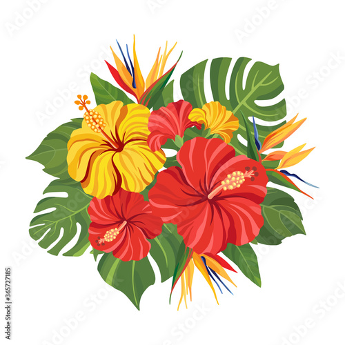 Tropical flowers bouquet. Floral composition with hibiscus, strelitzia, palm leaves and monstera. Vector illustration.
