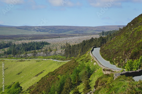 Narrow country road in Ireland