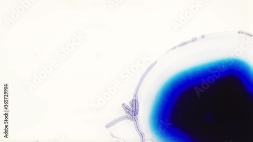 abstract blue spreading chemical background