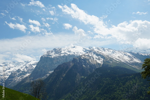 Mountains surrounding villge Engelberg in canton Obwalden in Switzerland in the soringtime. They show changing vegetation with increasing altitude.