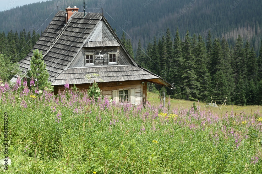 Fototapeta premium Tatras Mountains Poland