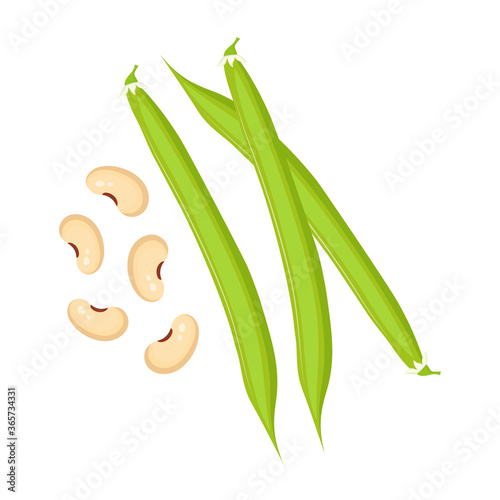 haricot isolated on white, pods of green bean