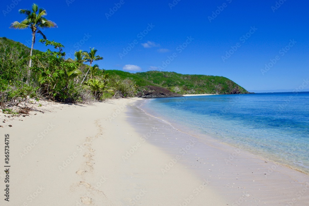 tropical beach with palm trees, Fiji
