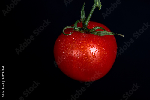 Fresh Tomato
