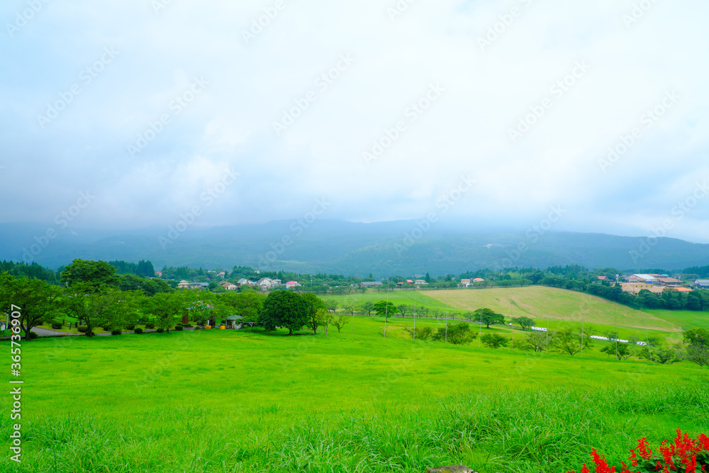 Obraz premium なだらかな丘のある高千穂牧場の風景