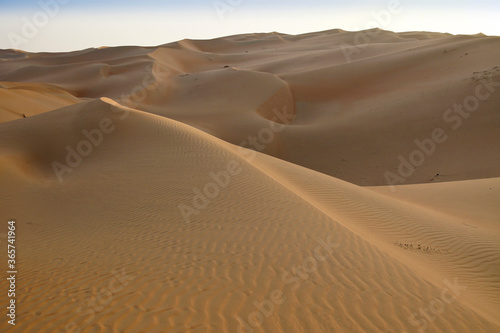 Contours of sand dunes at Liwa, Abu Dhabi, United Arab Emirates © Michele Burgess