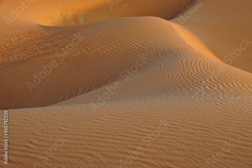 Fototapeta Naklejka Na Ścianę i Meble -  Contours of sand dunes at Liwa, Abu Dhabi, United Arab Emirates