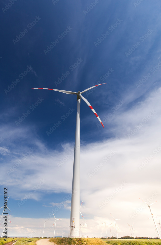 Blue sky with wind turbines. Wind turbines on the field. Renewable energy. Erneuerbare Energie. Bleuer Himmel mit Windkraftanlagen. Windkraftanlagen auf dem Feld. Blue sky with wind turbines. Wind turbines on the field. Renewable energy. Erneuerbare Energie. Bleuer Himmel mit Windkraftanlagen. Windkraftanlagen auf dem Feld.