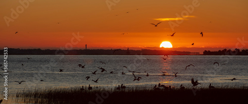 Charleston, South Carolina, United States, November 2019, the sunrise over Charleston Harbour bay looking in the direction of Fort Sumter photo