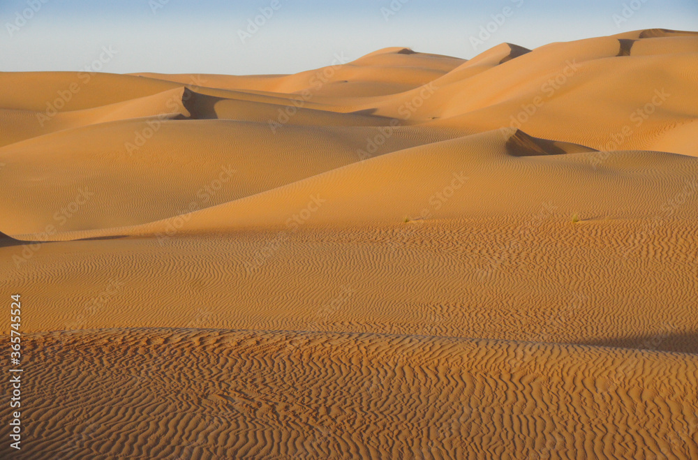 Contours of sand dunes at Liwa, Abu Dhabi, UAE