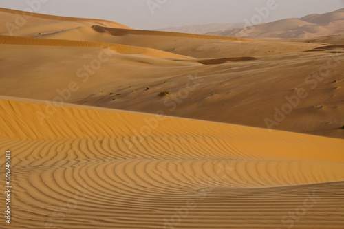 Contours of sand dunes at Liwa  Abu Dhabi  UAE