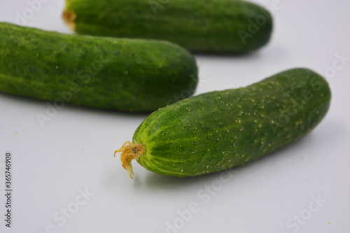 Young juicy cucumbers  Ukrainian cucumber harvest arranged on a white background. Fresh vegetables  healthy food for every day.