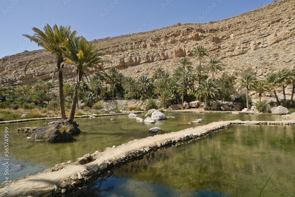 Pools and date palms in Wadi Bani Khalid, Sultanate of Oman Pools and date palms in Wadi Bani Khalid, Sultanate of Oman