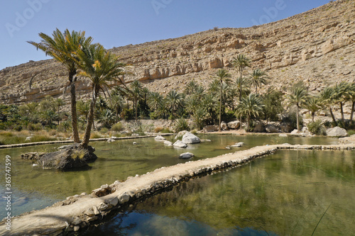Pools and date palms in Wadi Bani Khalid, Sultanate of Oman © Michele Burgess