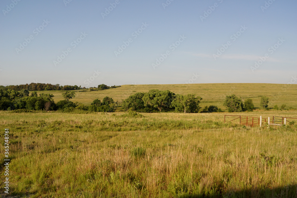 Kansas prairie field of grass and blue sky Kansas prairie field of grass and blue sky