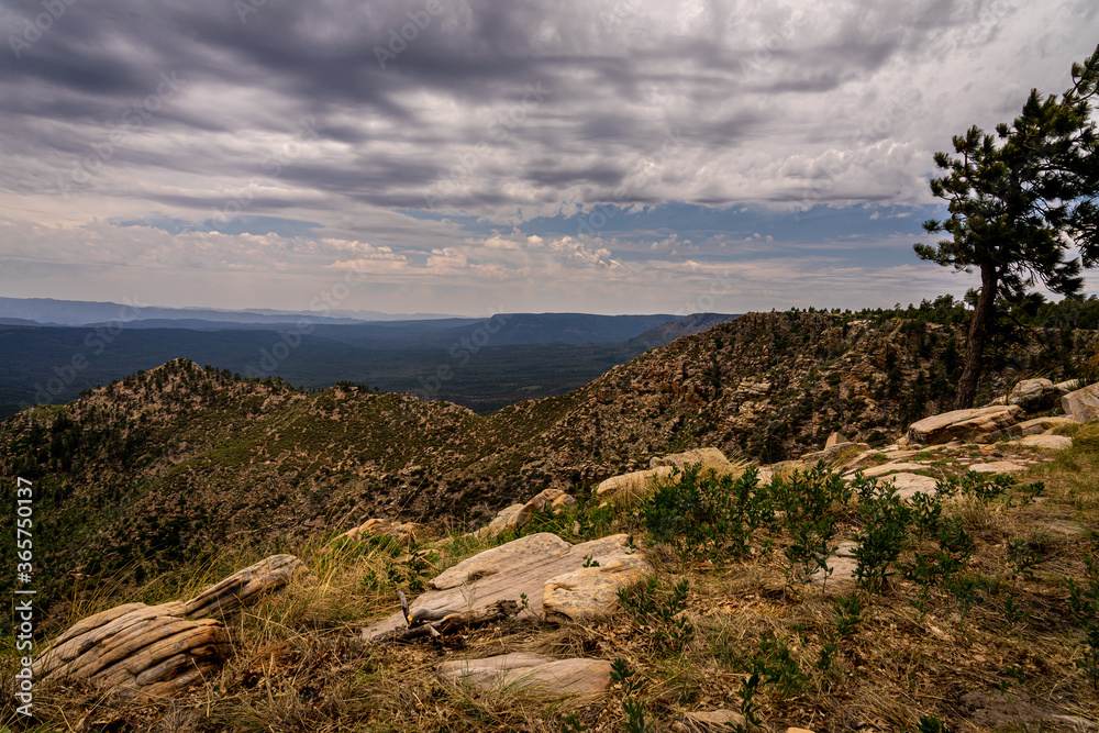On this portion of the Mogollon Rim in Arizona, the terrain at the edge is quite rocky and uneven. Close hills can be seen, and in the distance, the valley far below.