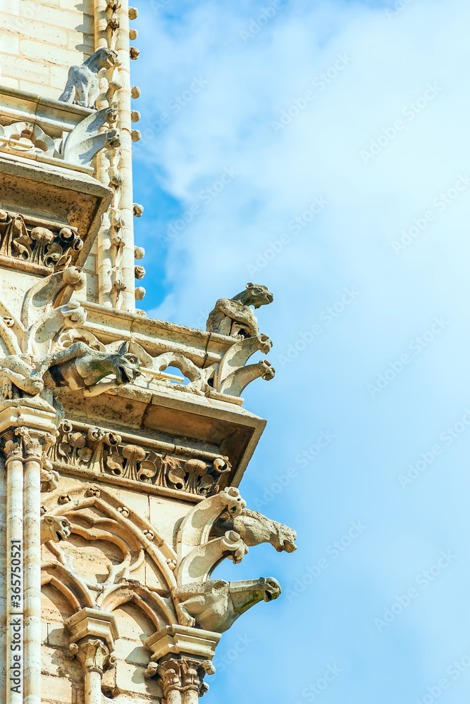 Chimera and gargoyles from the Gallery of gargoyles and chimeras.Notre-Dame de Paris.Paris.France Chimera and gargoyles from the Gallery of gargoyles and chimeras.Notre-Dame de Paris.Paris.France