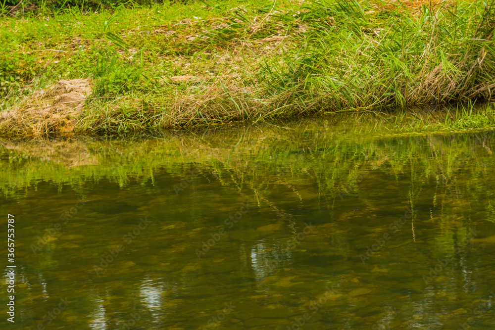 Reflection in clear calm water. Reflection in clear calm water.