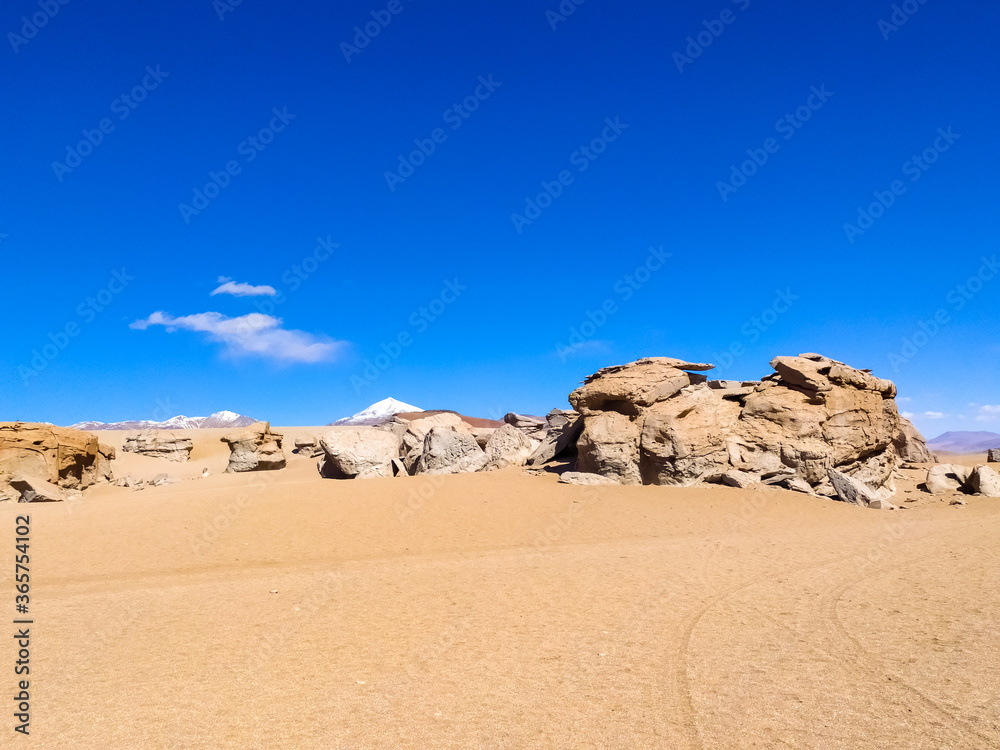 Desert rock garden on the Altiplano plateau