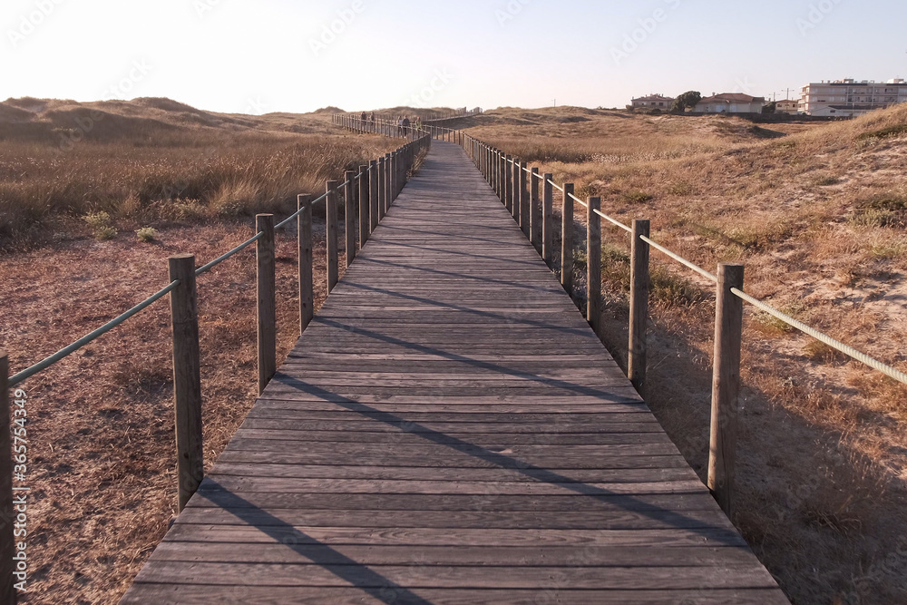 Wooden boardwalk over sand dunes in Vila do Conde protected nature area, Portugal