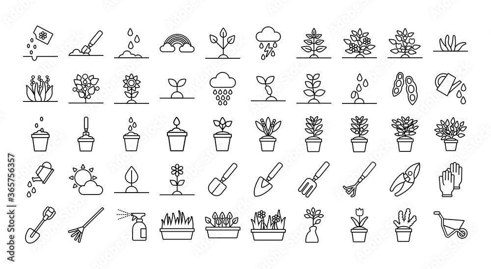 Fototapeta premium bundle of plant growth line style